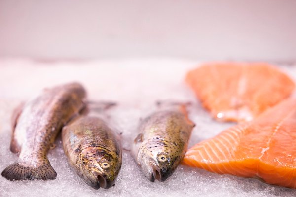 pescado-dieta