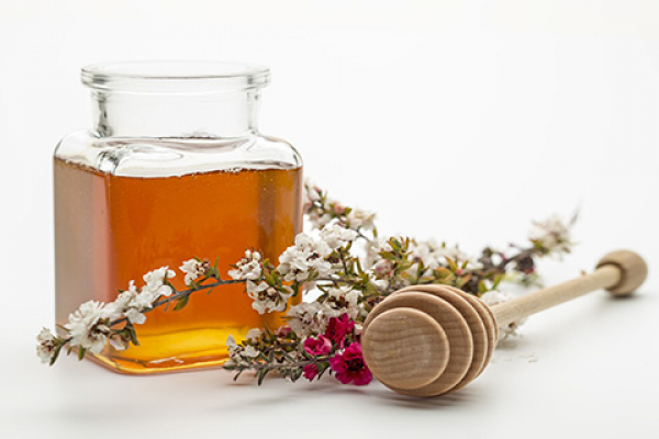 UNIB investigates the chemosensitizing effects of Manuka honey against colon cancer