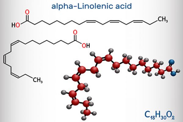 UNIB estuda efeitos do ácido alfa-linolênico em várias doenças