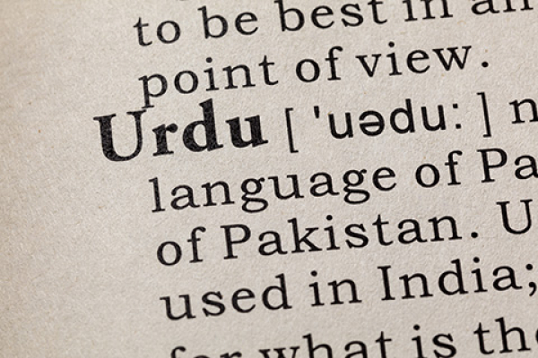 UNIB presents a neural network-based lemmatization model for Urdu language