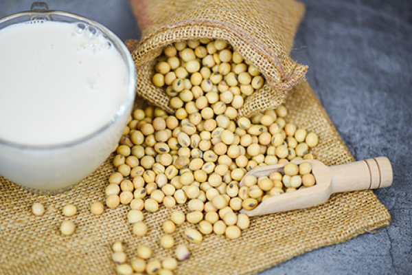 A UNIB study investigates the effects of isoflavones on vascular and endothelial health