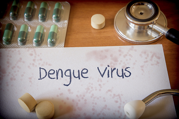 UNIB researcher participates in a study analyzing the epidemiological prevalence of dengue fever