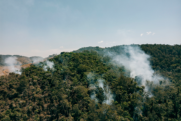 incendio-forestal-edit
