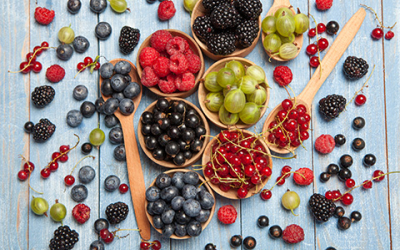 UNIB investigates advances in science on the health benefits of anthocyanins