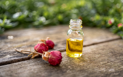 UNIB studies sesame seeds and rose oil to treat uncomplicated pelvic inflammatory disease