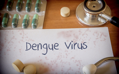 UNIB researcher participates in a study analyzing the epidemiological prevalence of dengue fever