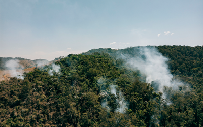 incendio-forestal-edit